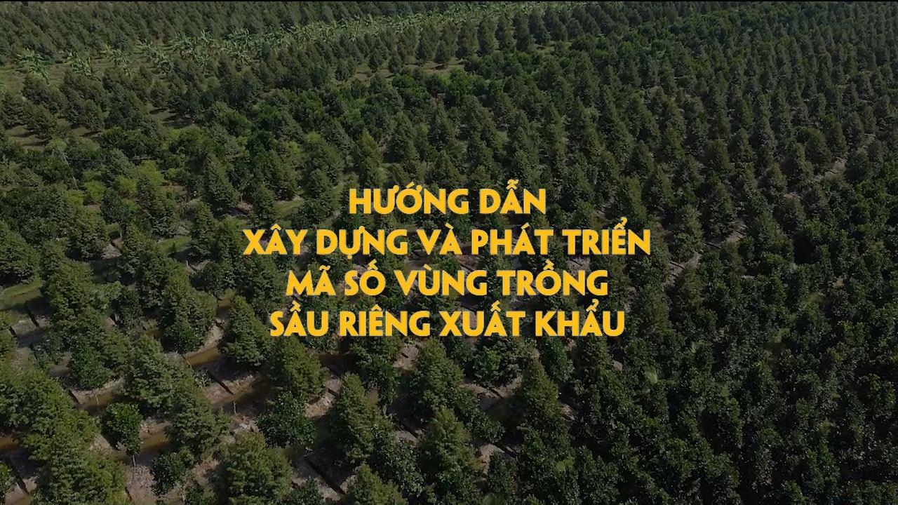 Hướng dẫn xây dựng và phát triển mã số vùng trồng sầu riêng xuất khẩu